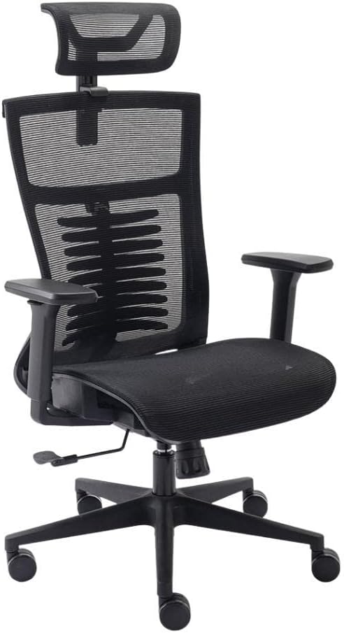 Cadeira ergonômica Elements Vertta Pro